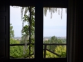 Rooms in the vineyard villa, seaside: window.